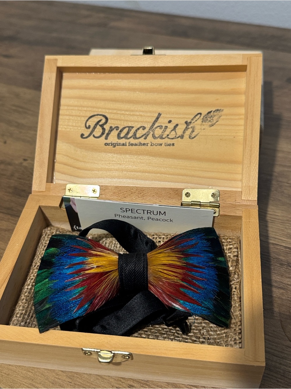Brackish “Spectrum” Real Pheasant Peacock Feather Bow Tie - Multicolor